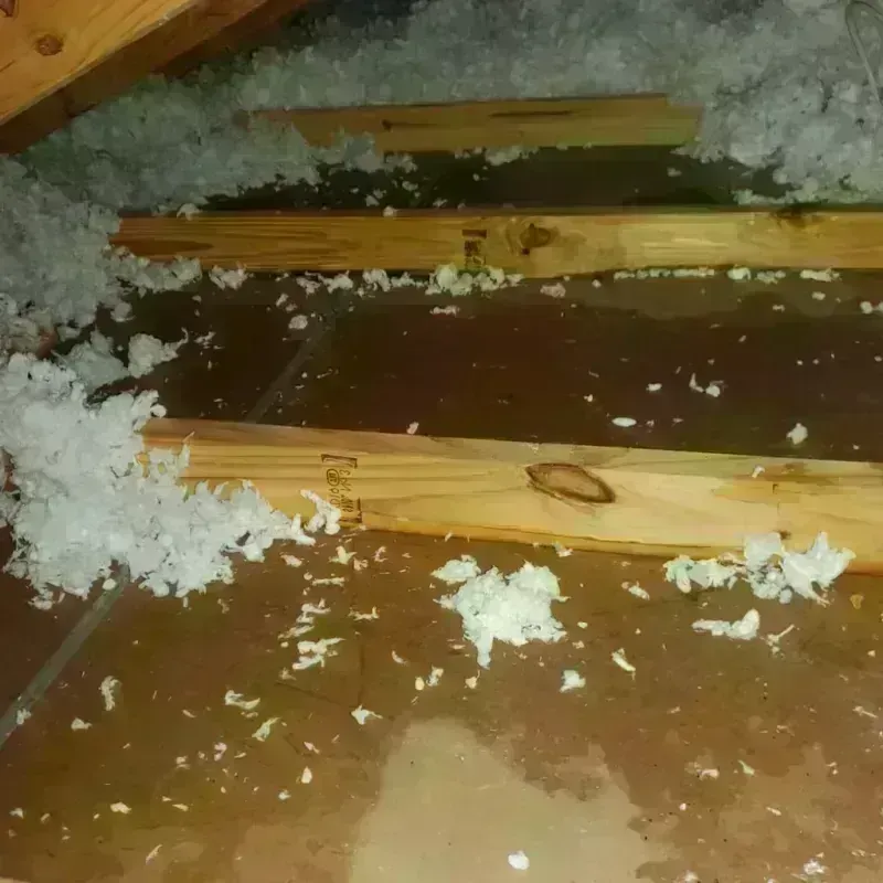 Attic Water Damage in Alhambra, CA