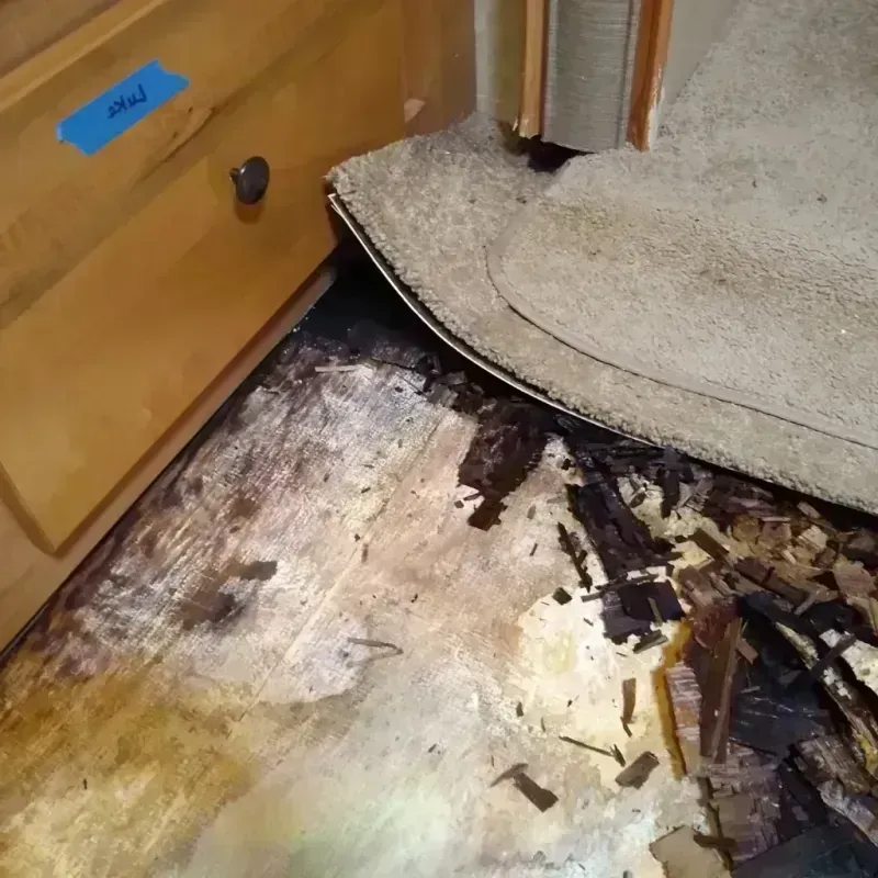 Wood Floor Water Damage in Alhambra, CA